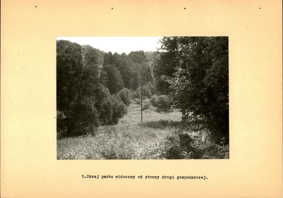 Ewidencja parkowa, skan nr 25
