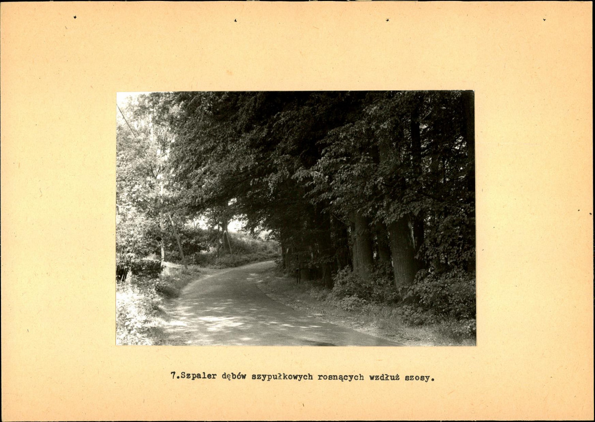 Ewidencja parkowa, skan nr 27