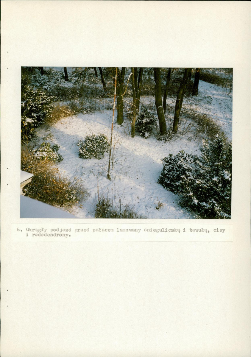 Ewidencja parkowa, skan nr 32