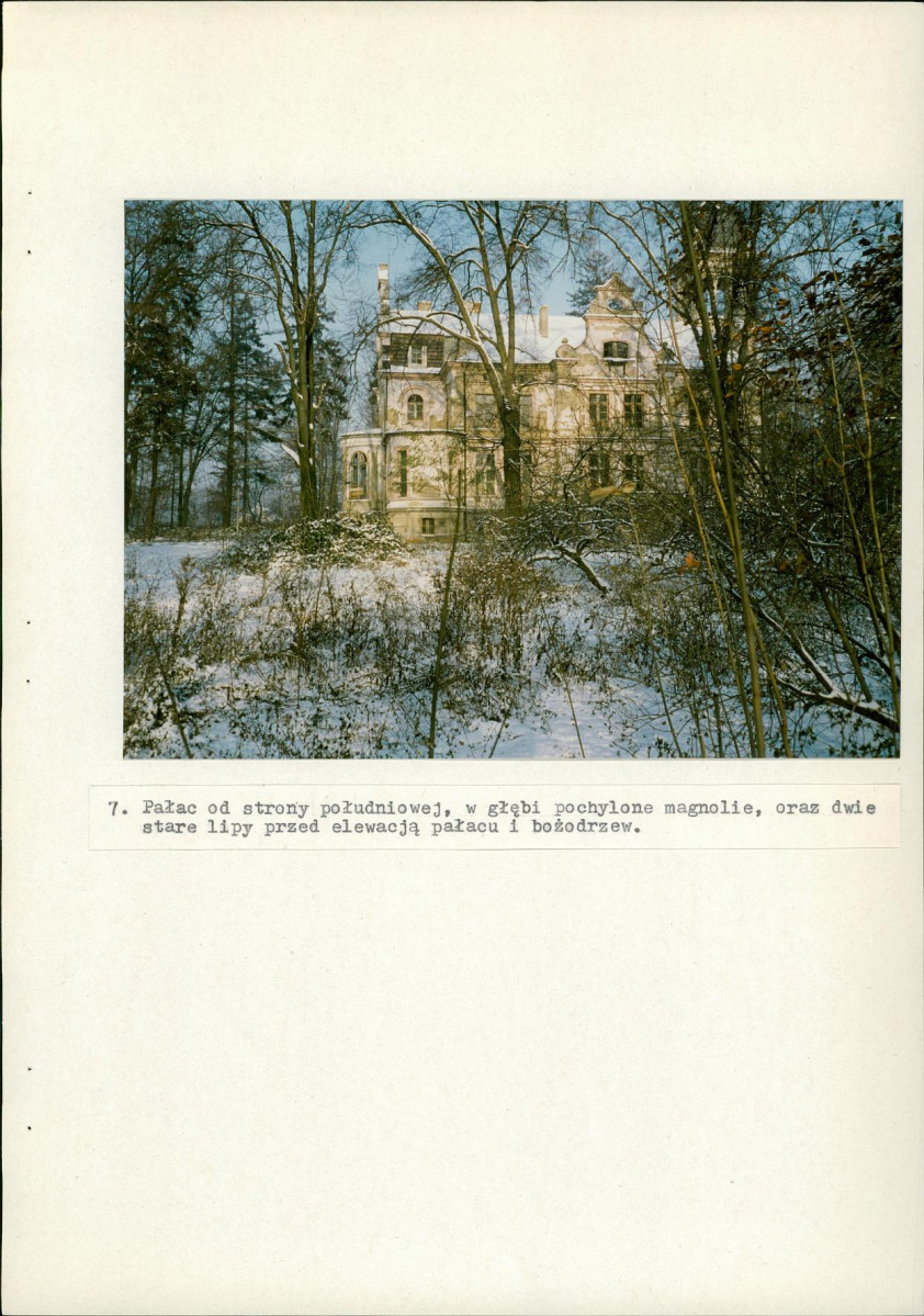Ewidencja parkowa, skan nr 33