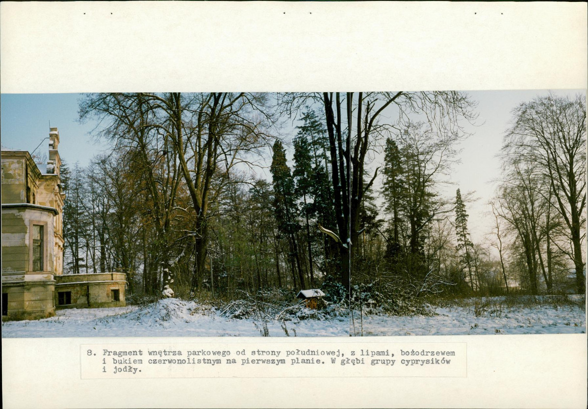 Ewidencja parkowa, skan nr 34