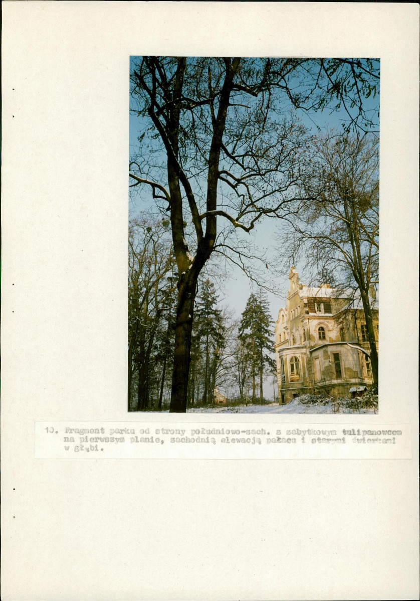 Ewidencja parkowa, skan nr 36