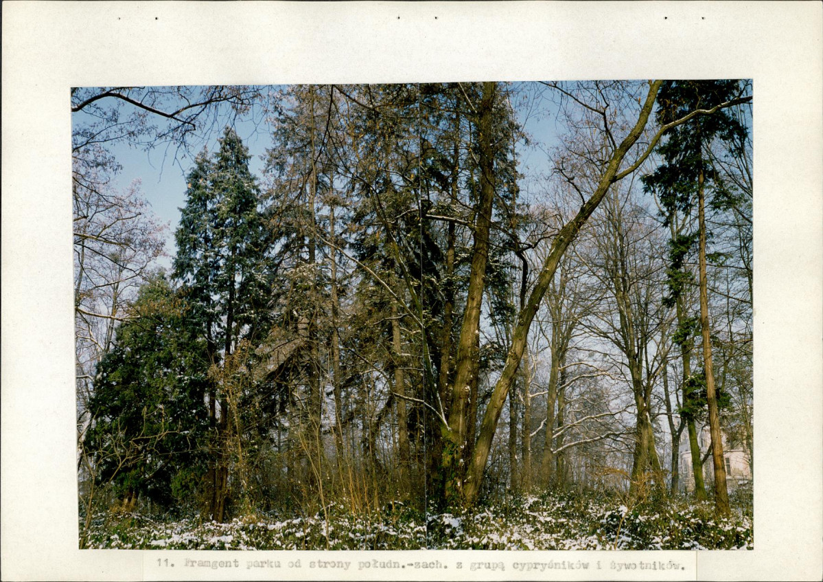 Ewidencja parkowa, skan nr 37
