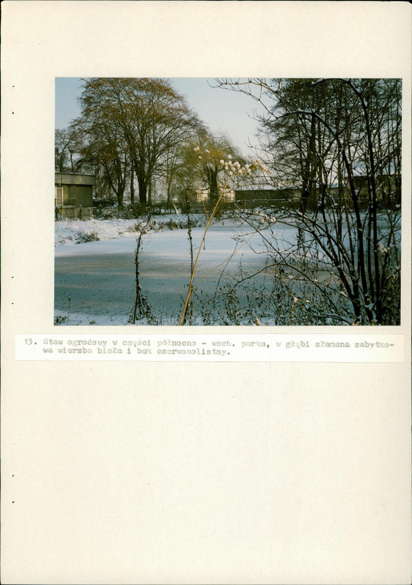 Ewidencja parkowa, skan nr 39