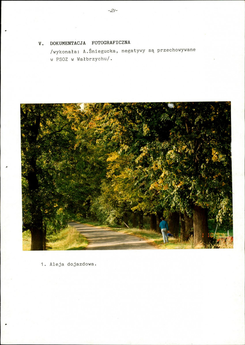 Ewidencja parkowa, skan nr 25