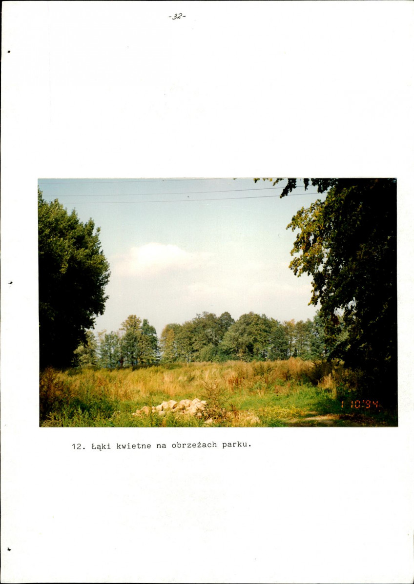 Ewidencja parkowa, skan nr 36