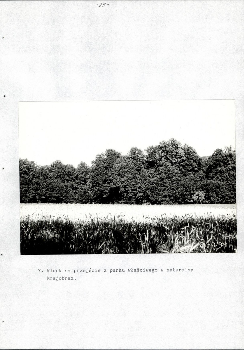 EP - Ewidencja parkowa, skan nr 29