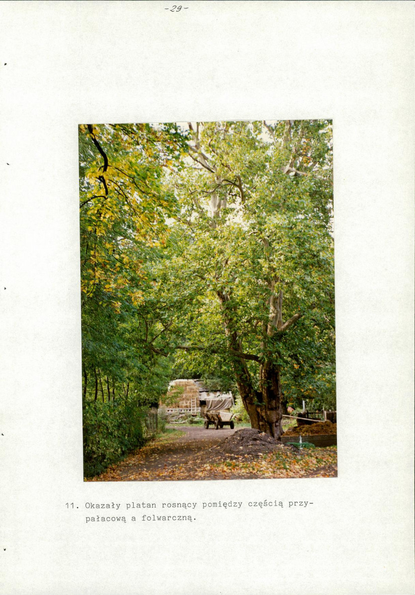 EP - Ewidencja parkowa, skan nr 33