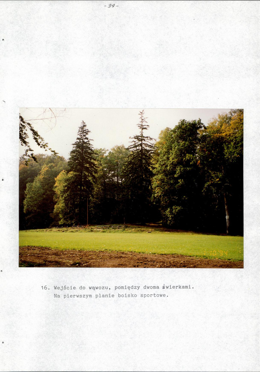 EP - Ewidencja parkowa, skan nr 38