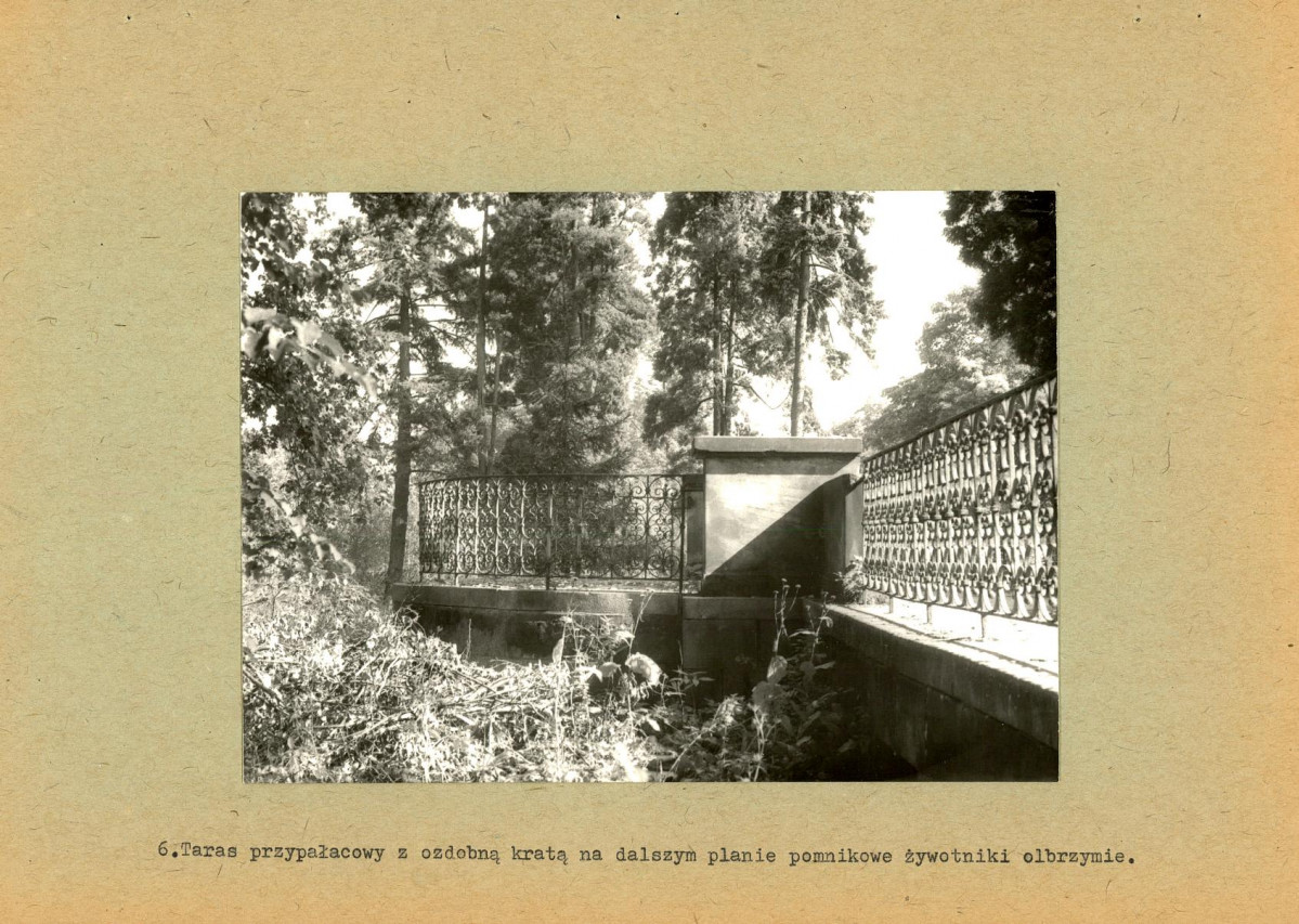 Ewidencja parkowa, skan nr 32