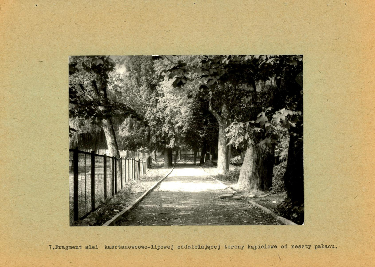 Ewidencja parkowa, skan nr 33
