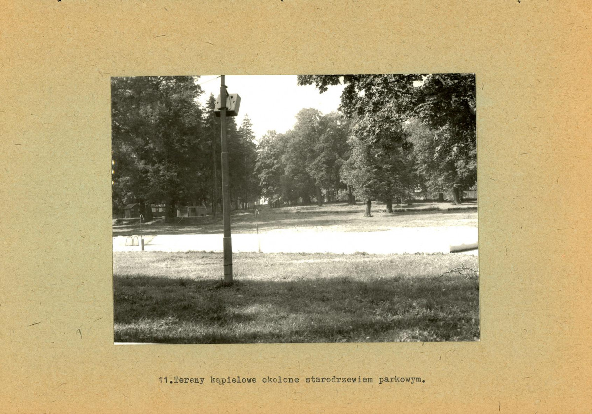 Ewidencja parkowa, skan nr 37