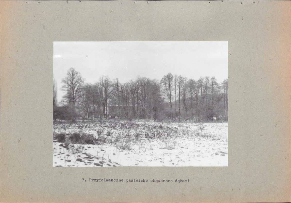 EP - Ewidencja parkowa, skan nr 22