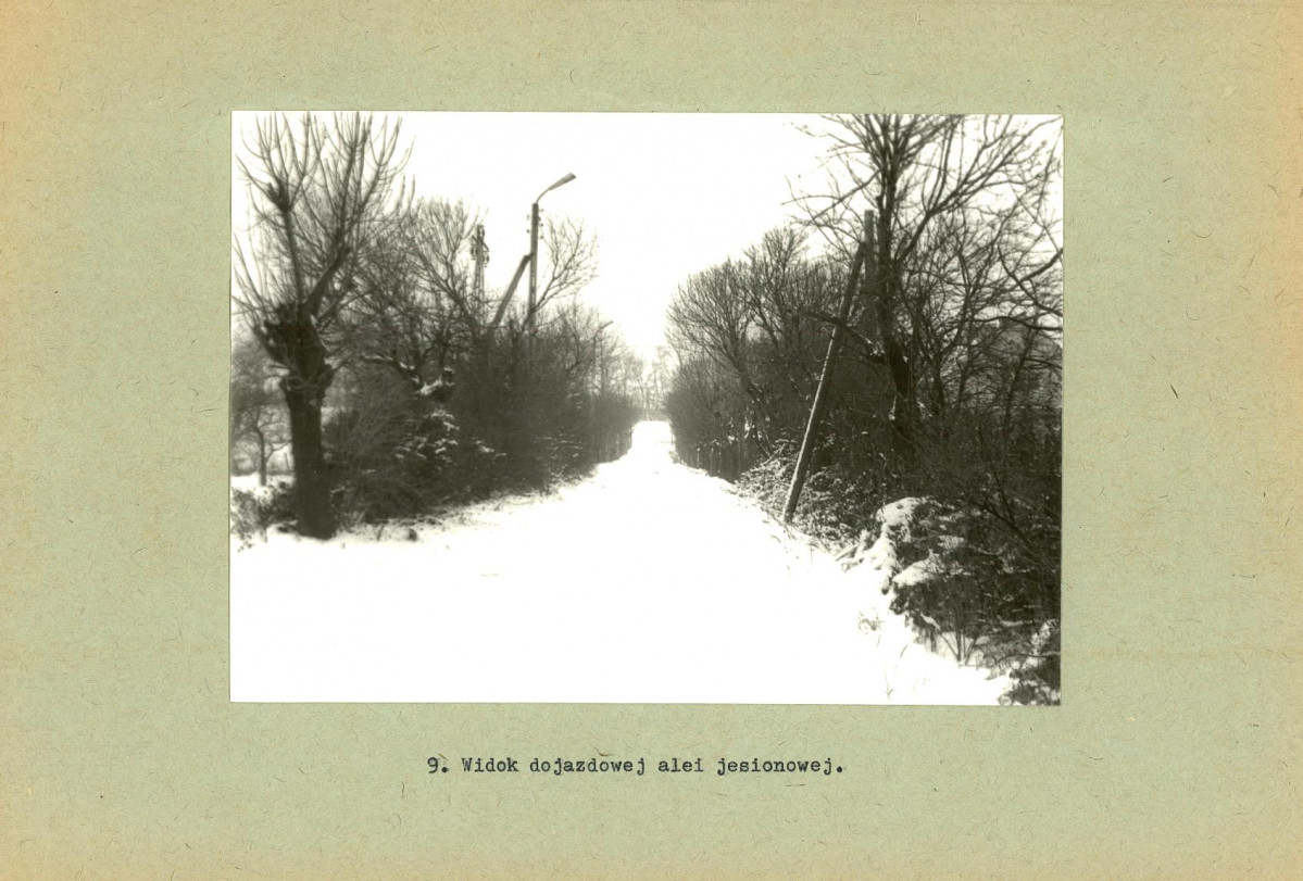 EP - Ewidencja parkowa, skan nr 24