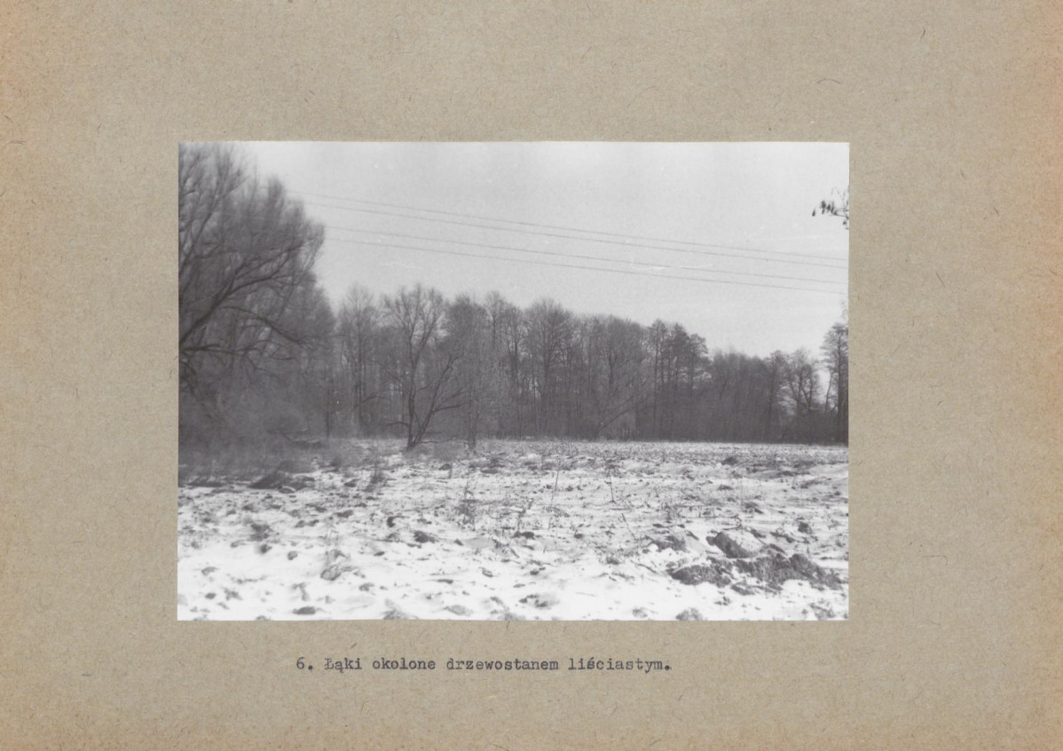 Ewidencja parkowa, skan nr 21