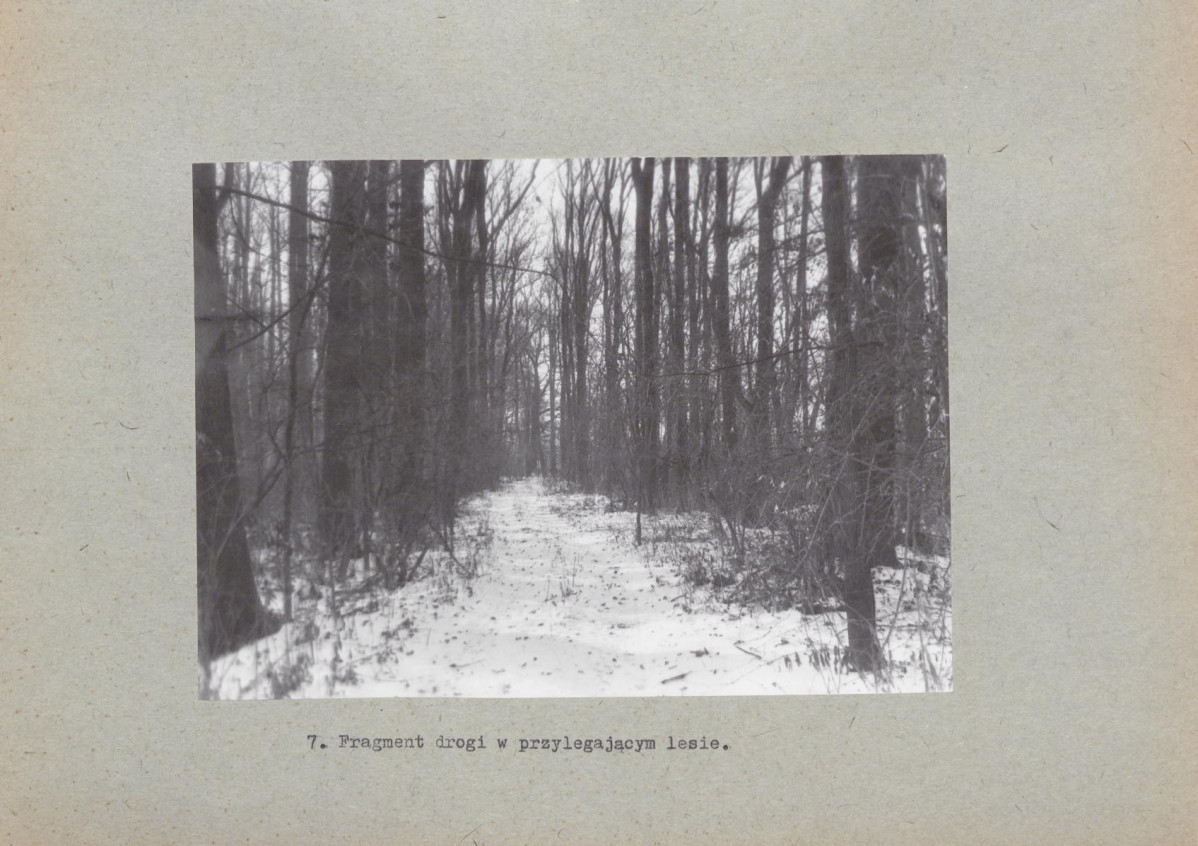 Ewidencja parkowa, skan nr 22