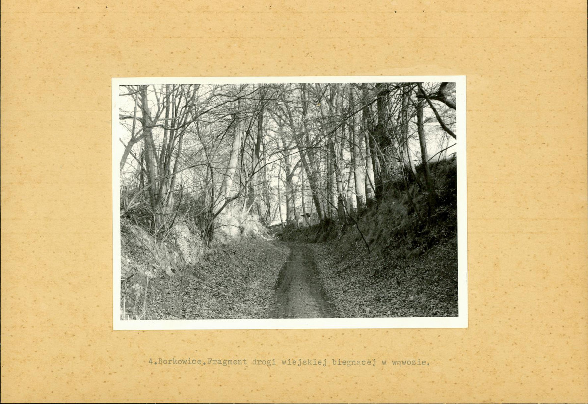 EP - Ewidencja parkowa, skan nr 20