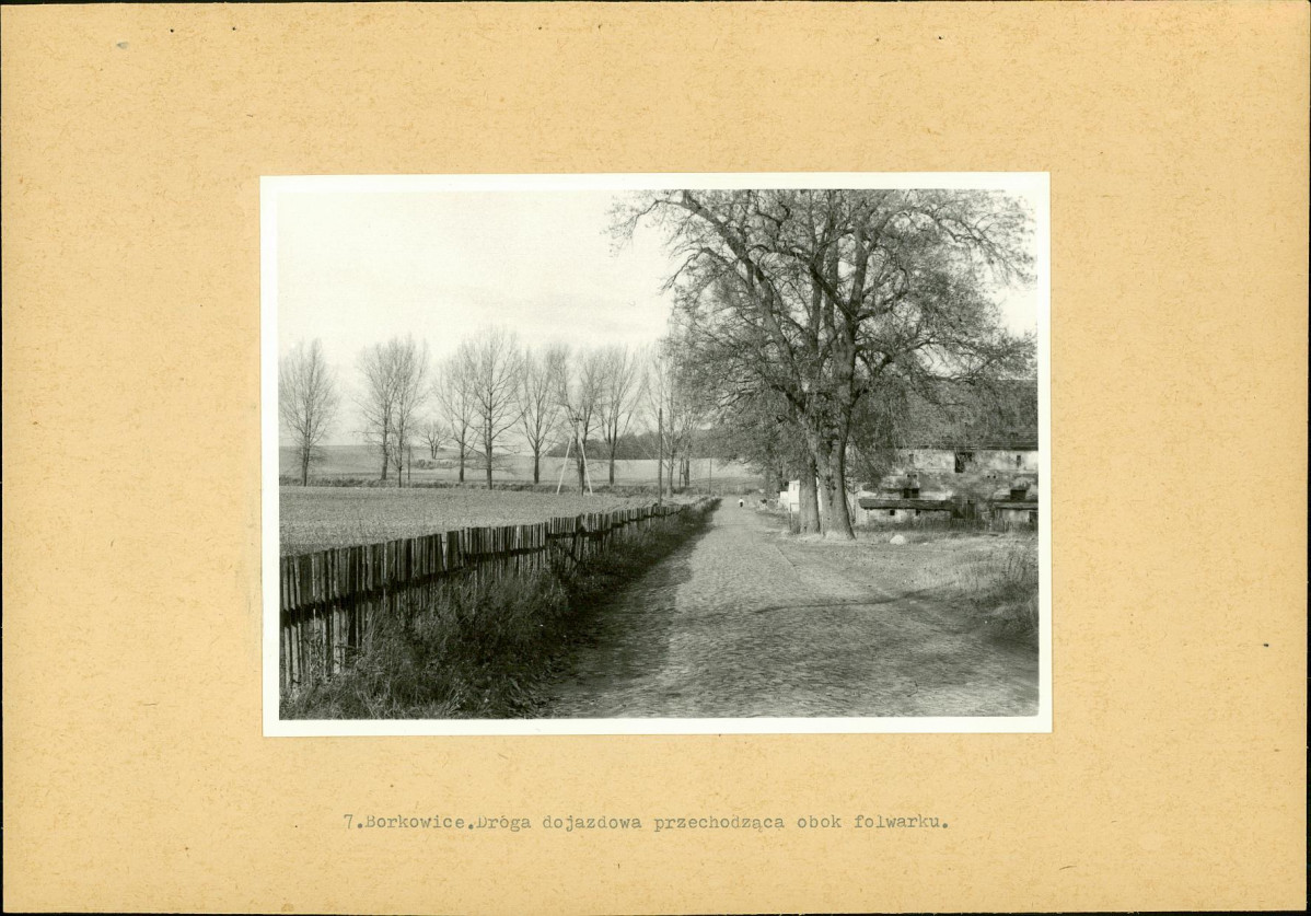 EP - Ewidencja parkowa, skan nr 23