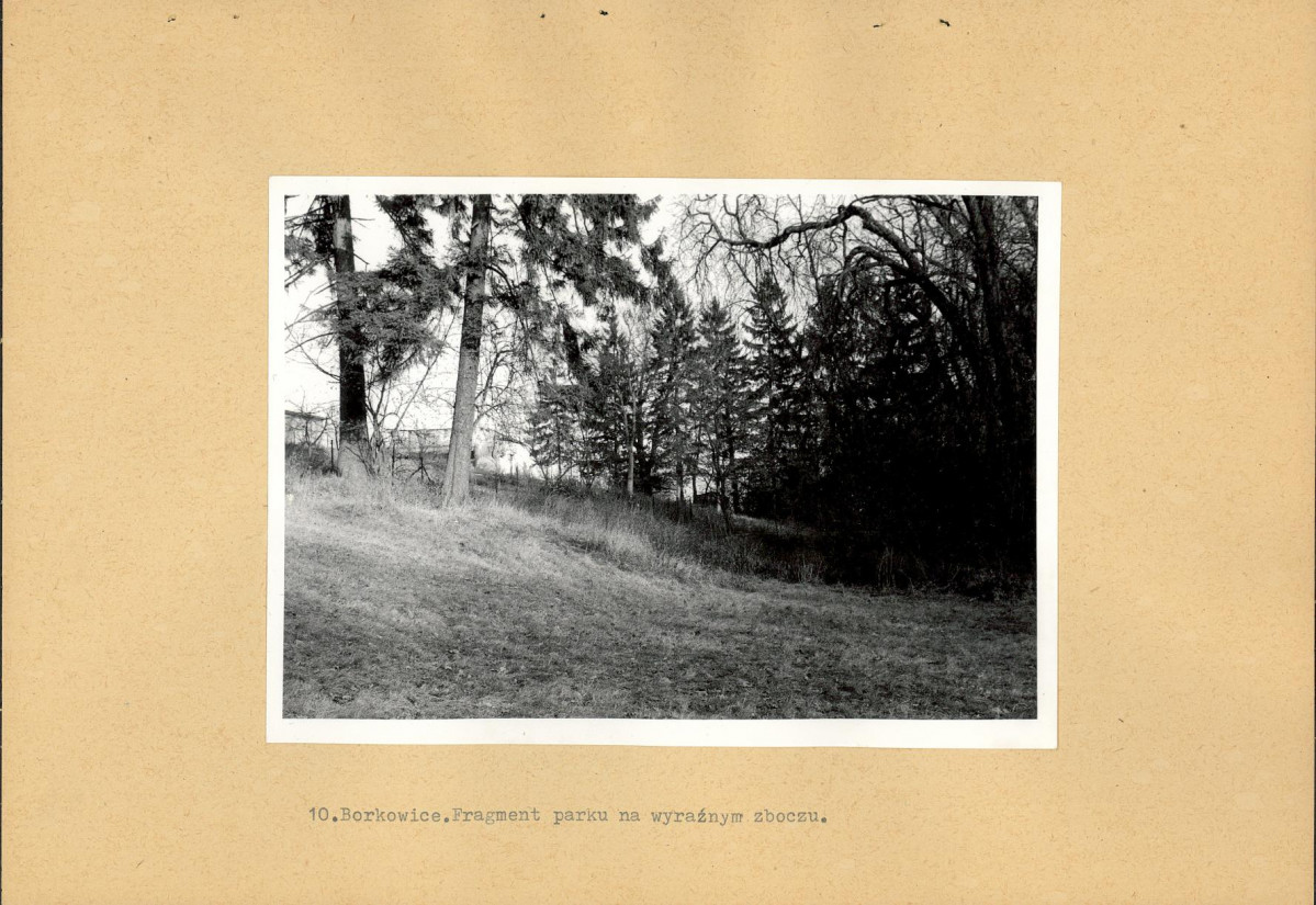 EP - Ewidencja parkowa, skan nr 26