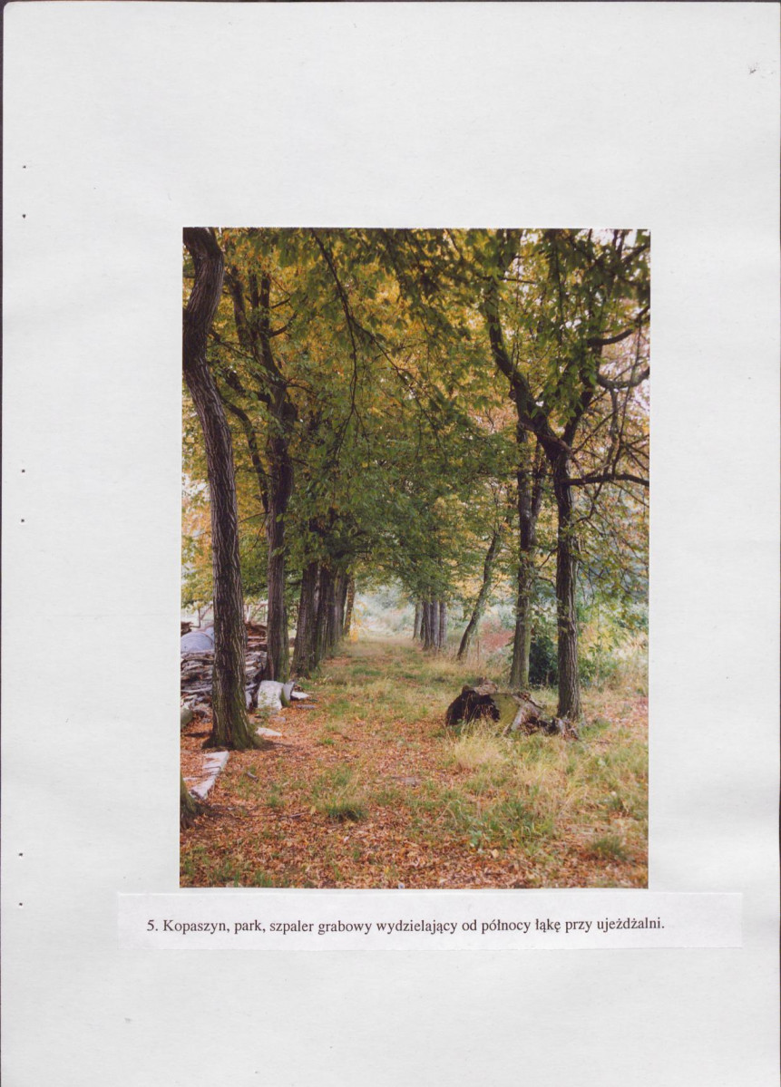 EP - Ewidencja parkowa, skan nr 52