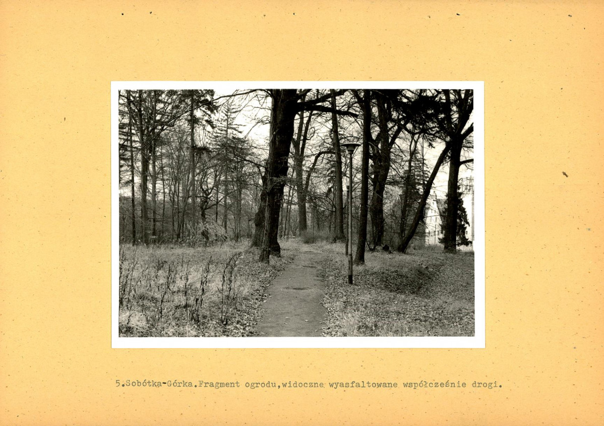 Ewidencja parkowa, skan nr 37