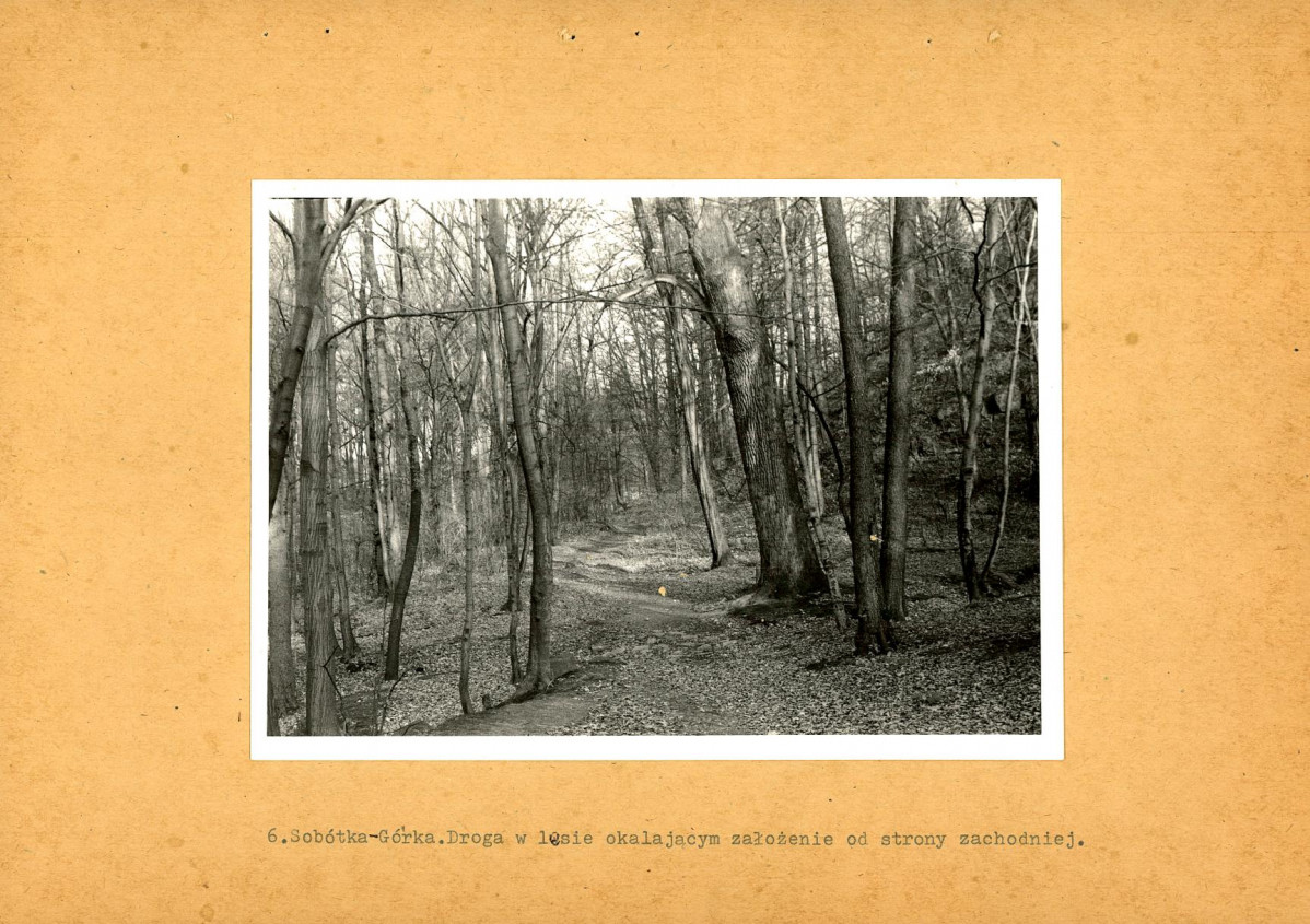 Ewidencja parkowa, skan nr 38