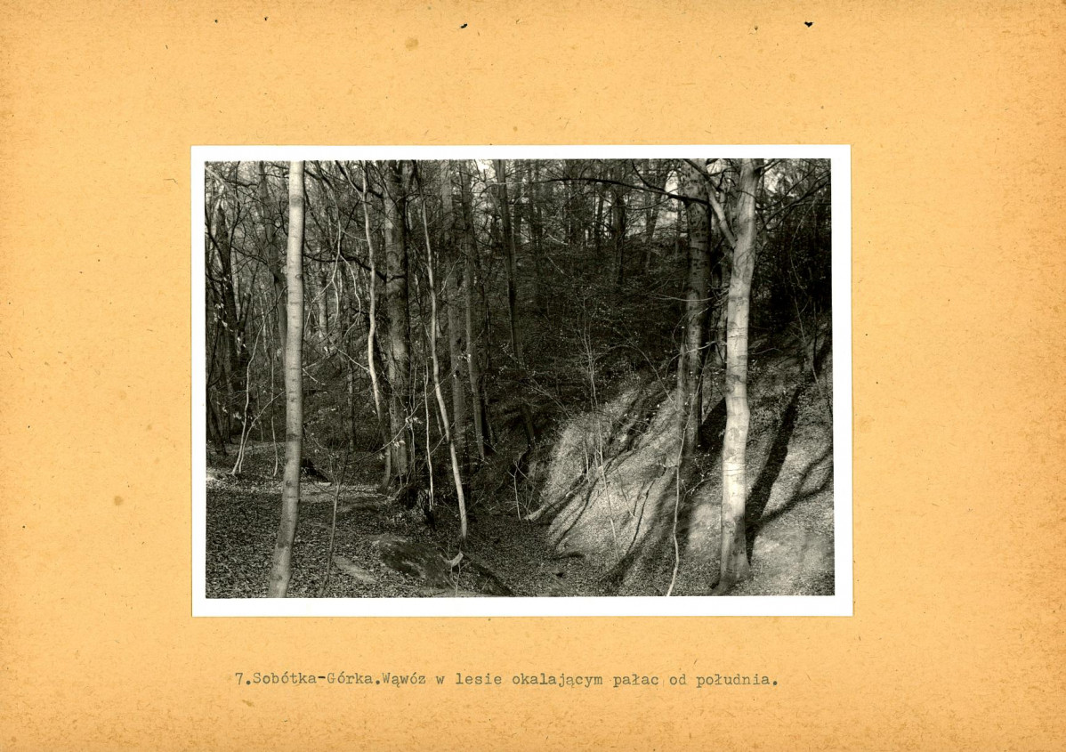 Ewidencja parkowa, skan nr 39