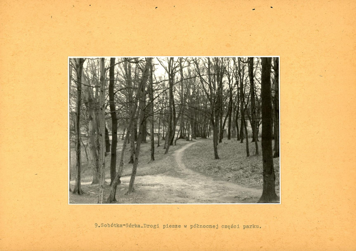 Ewidencja parkowa, skan nr 41