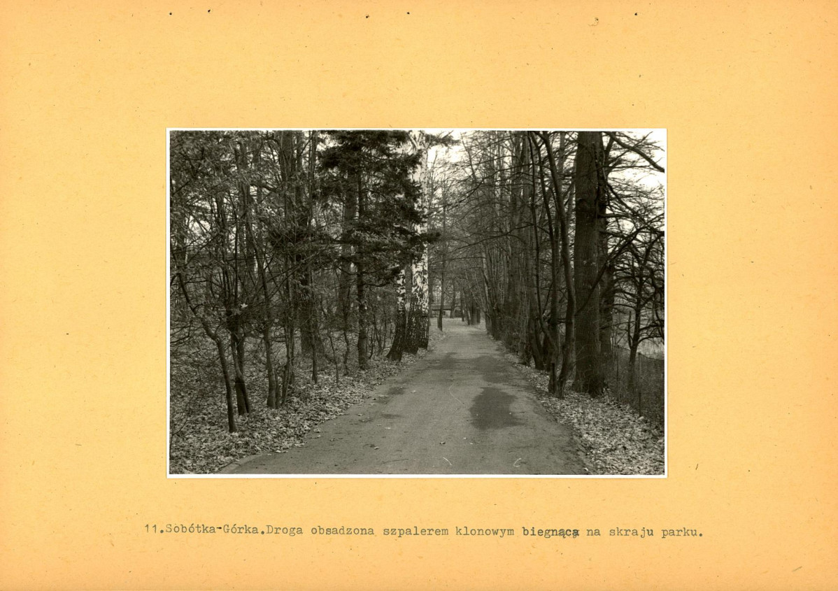 Ewidencja parkowa, skan nr 43