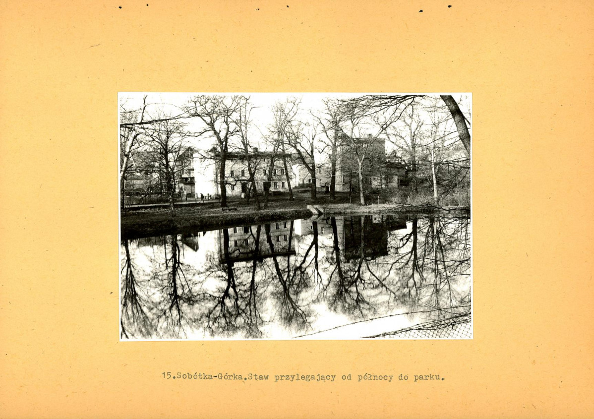 Ewidencja parkowa, skan nr 47