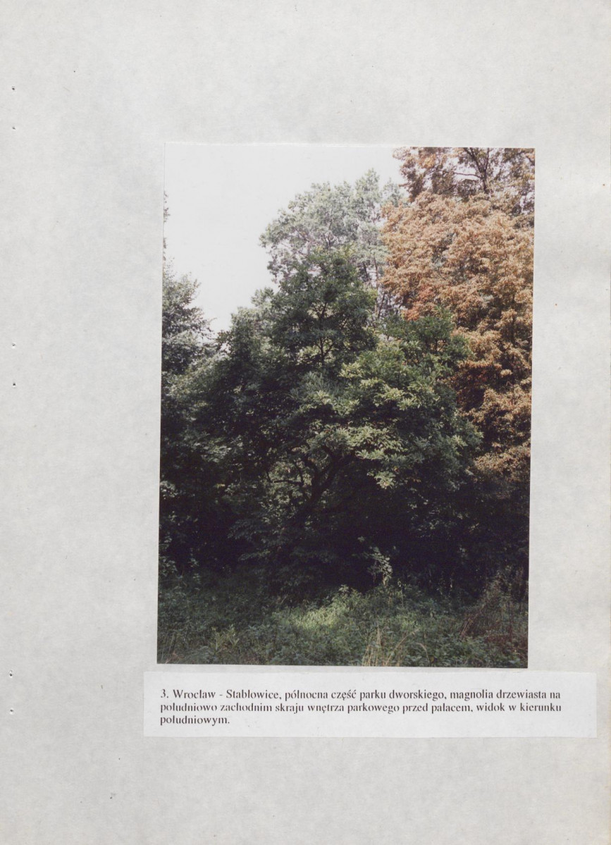 Ewidencja parkowa, skan nr 32