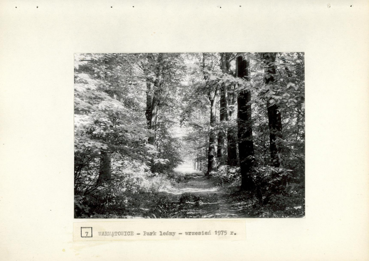 Ewidencja parkowa, skan nr 27