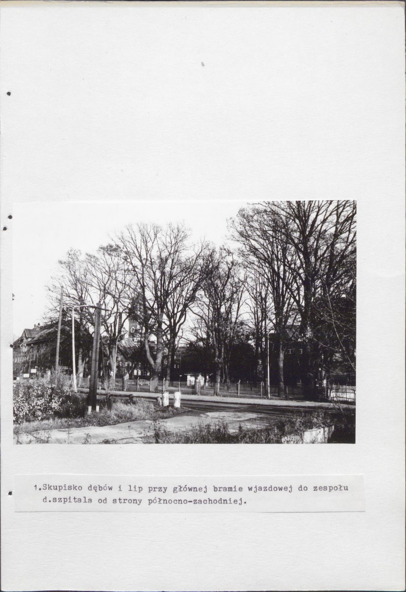 Ewidencja parkowa, skan nr 20