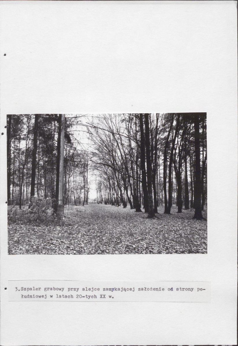 Ewidencja parkowa, skan nr 22