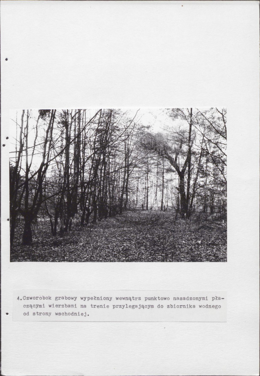 Ewidencja parkowa, skan nr 23