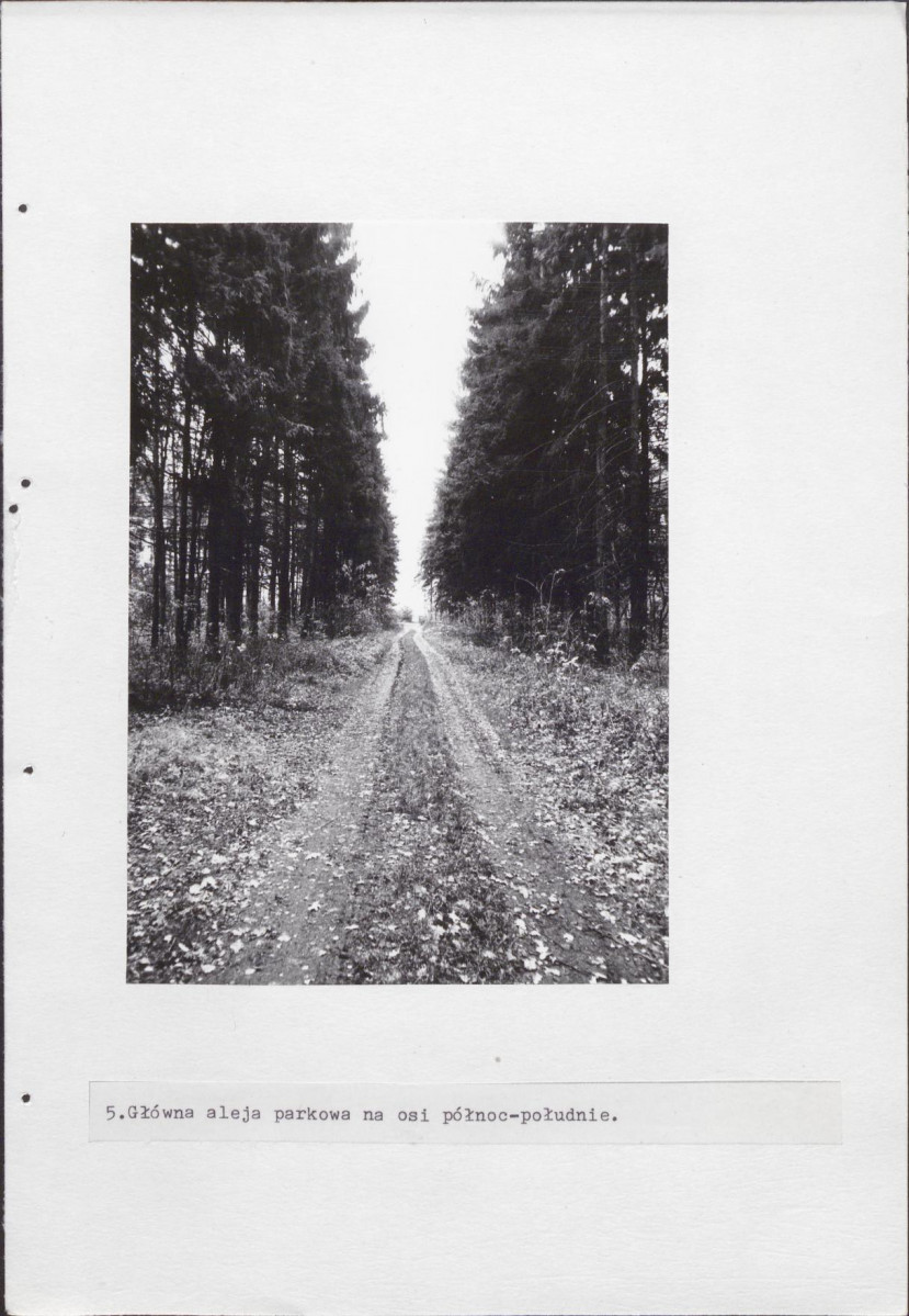 Ewidencja parkowa, skan nr 24