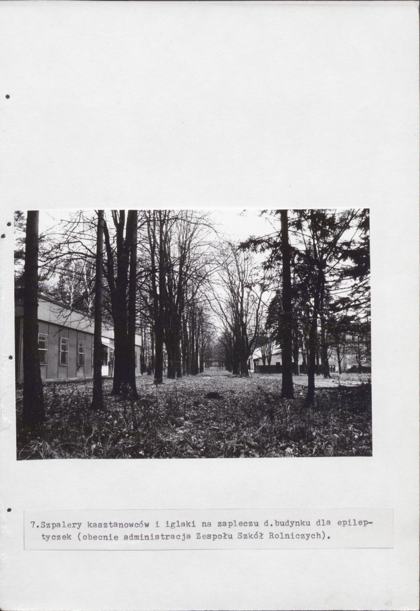Ewidencja parkowa, skan nr 26