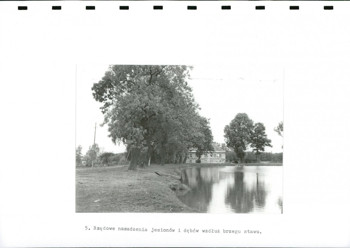 EP - Ewidencja parkowa, skan nr 26