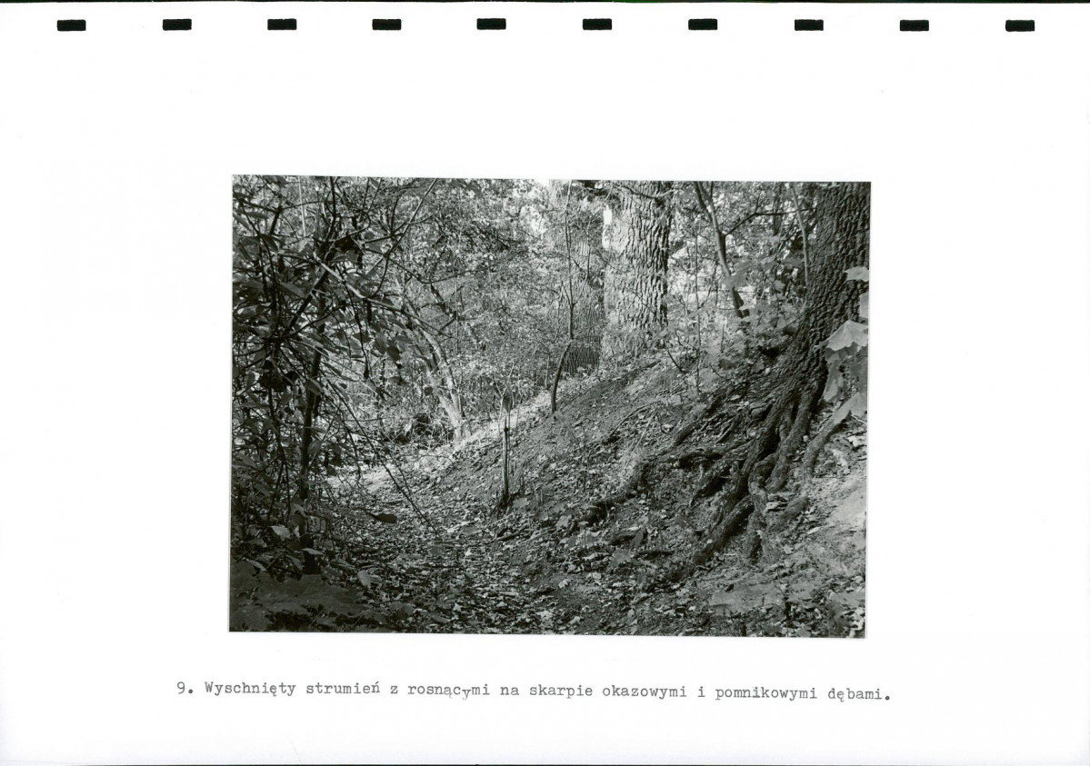 EP - Ewidencja parkowa, skan nr 30