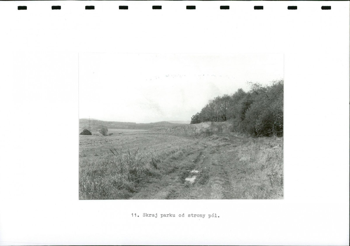 EP - Ewidencja parkowa, skan nr 32