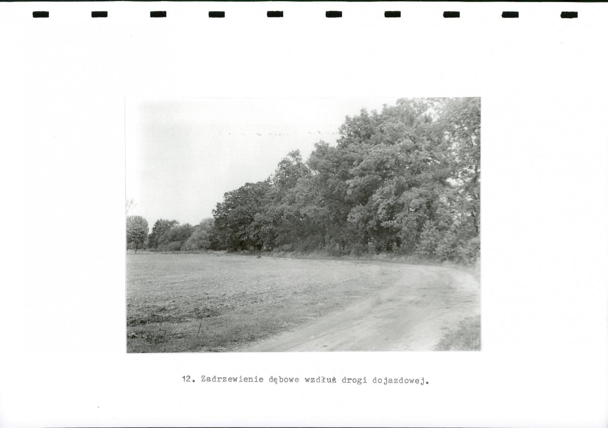EP - Ewidencja parkowa, skan nr 33