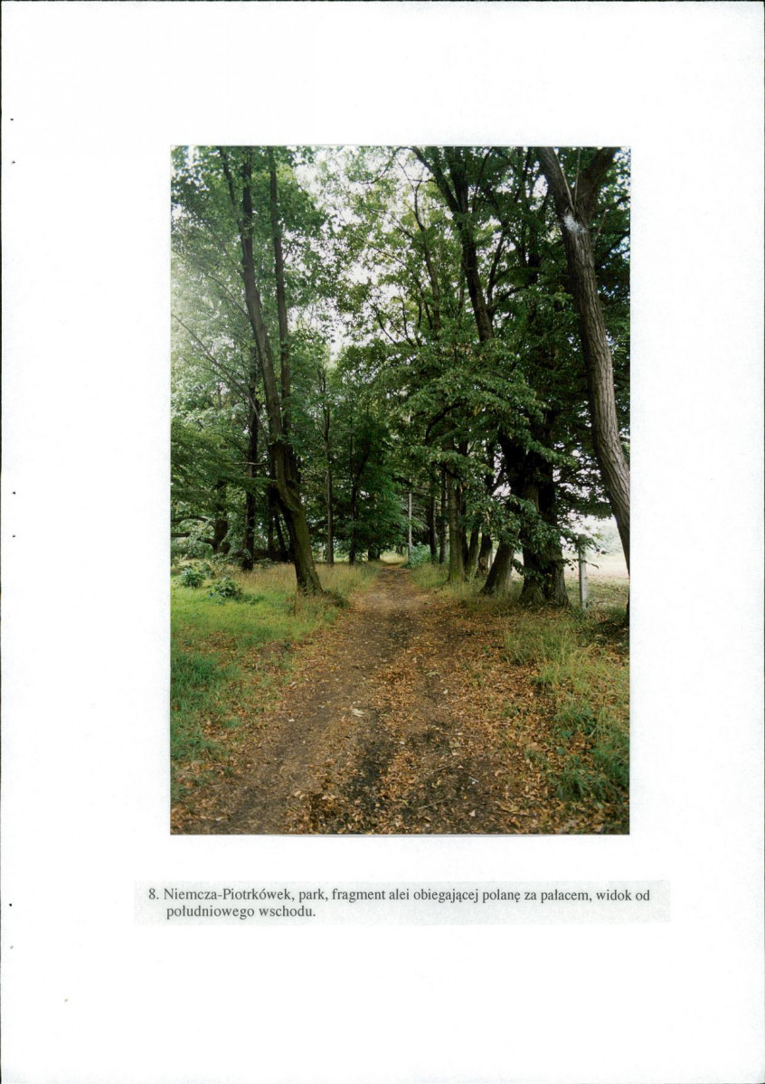 EP - Ewidencja parkowa, skan nr 45