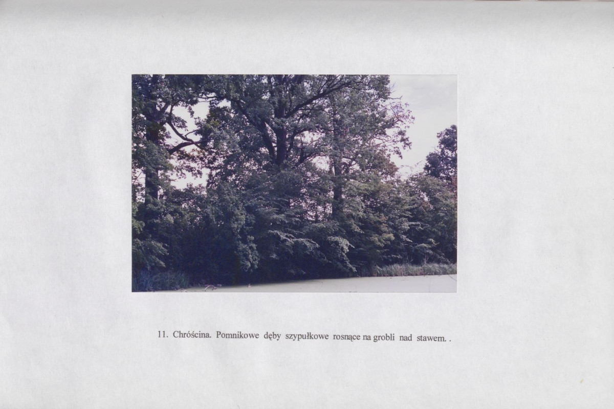 Ewidencja parkowa, skan nr 30