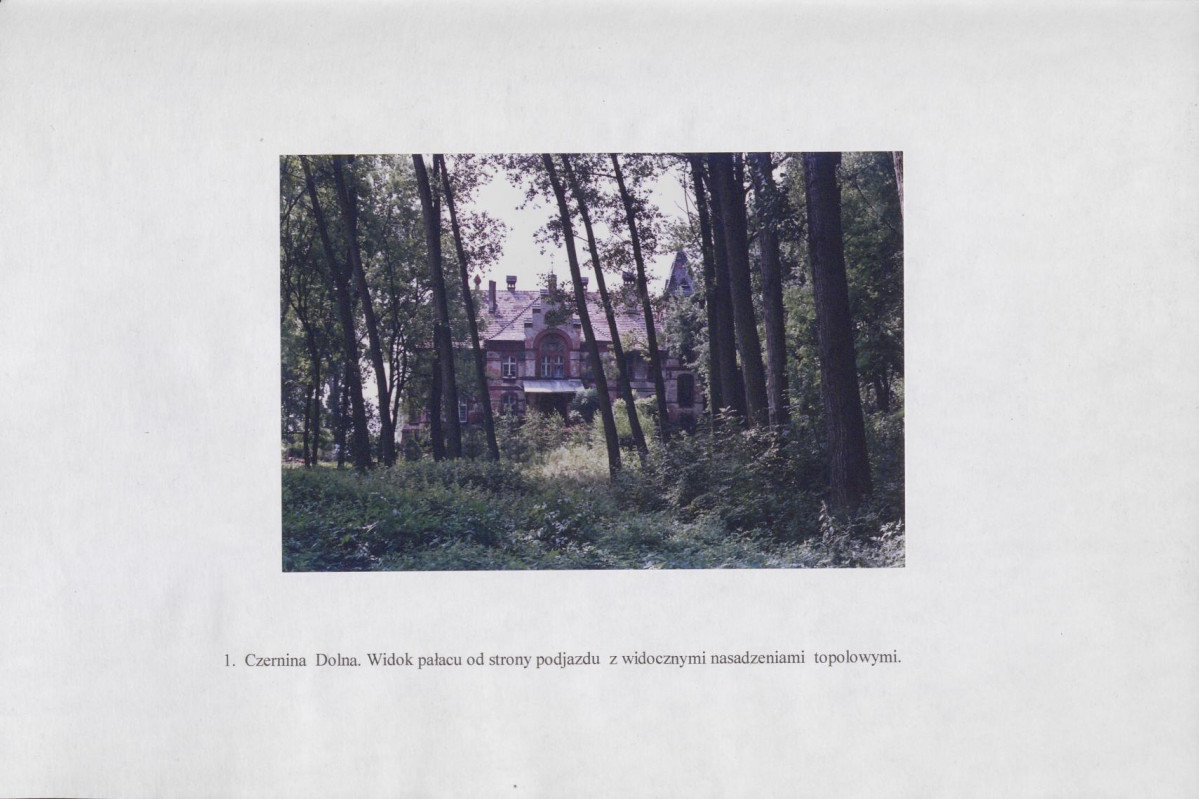 Ewidencja parkowa, skan nr 19
