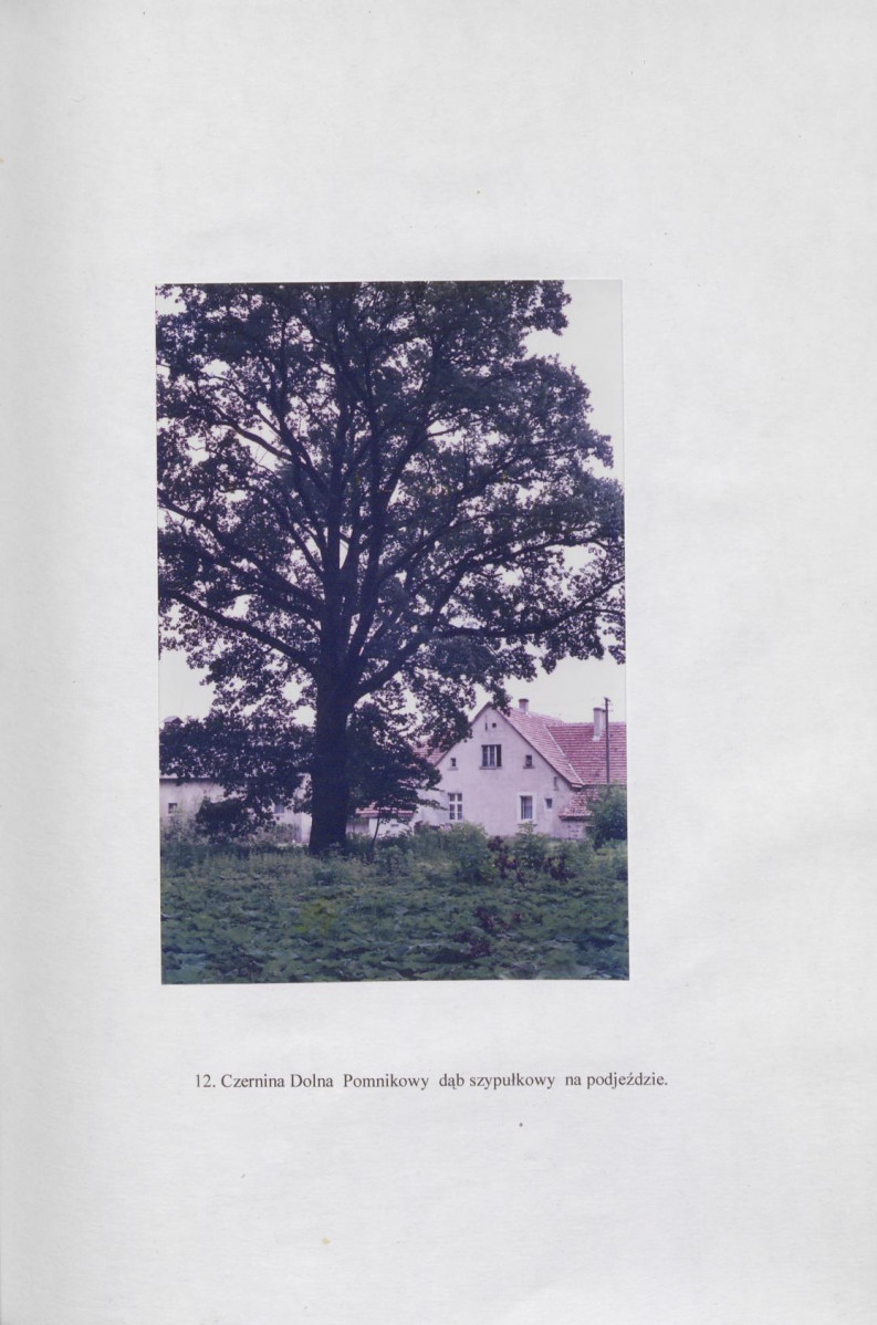 Ewidencja parkowa, skan nr 30