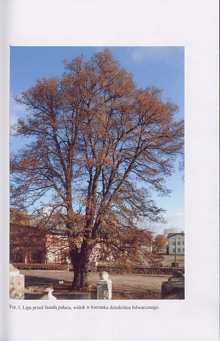 EP - Ewidencja parkowa, skan nr 38