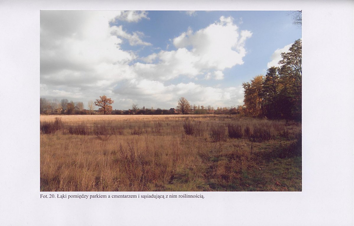 EP - Ewidencja parkowa, skan nr 55