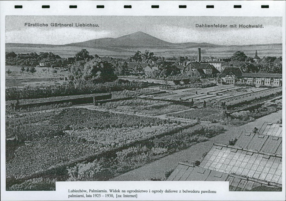 Ewidencja parkowa, skan nr 13