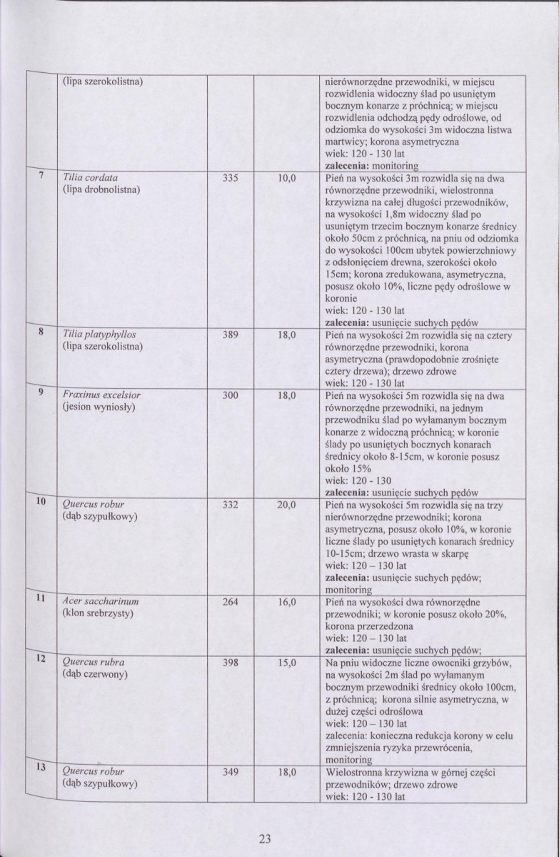 EP - Ewidencja parkowa, skan nr 38