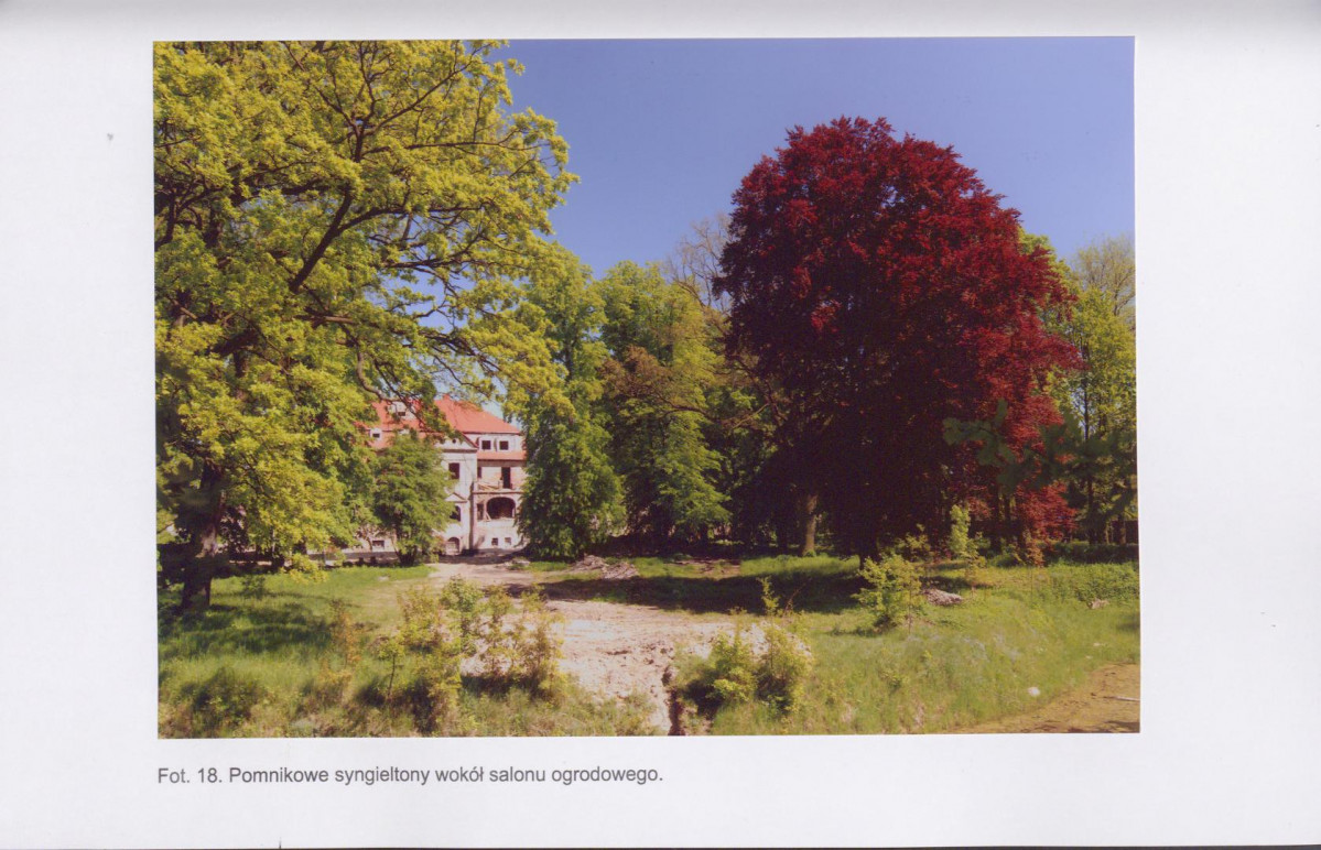 EP - Ewidencja parkowa, skan nr 66